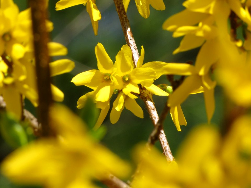 1 March 2012 387
