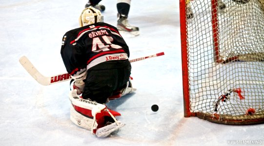 Bracknell Bees Vs Basingstoke Bison