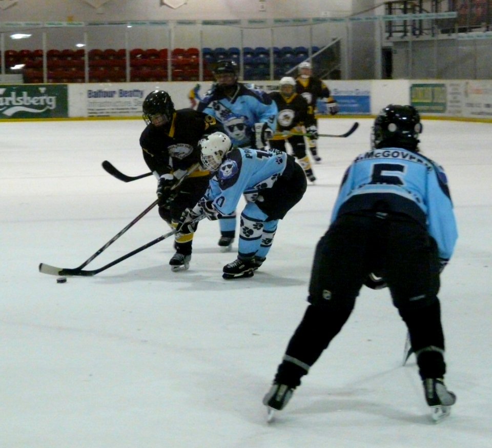 Firebees At Basingstoke Bears