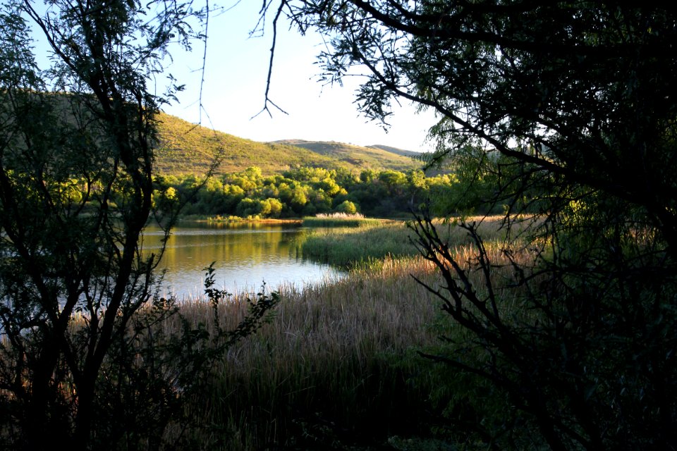PATAGONIA LAKE STATE PARK, east end (9-30-10) -02