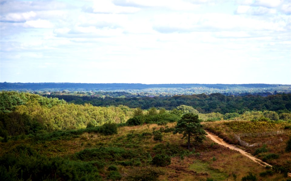 South Farnborough Landscape
