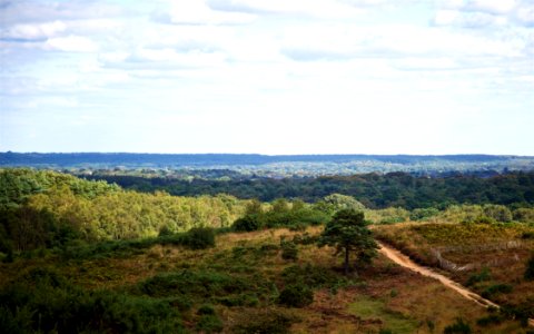 South Farnborough Landscape
