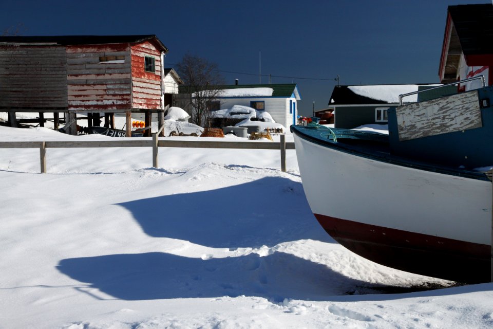 2011 - FEB 12 - 22 - NEWFOUNDLAND -058 Petty Harbour  (17)