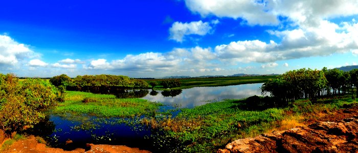 Arnhem land Billabong