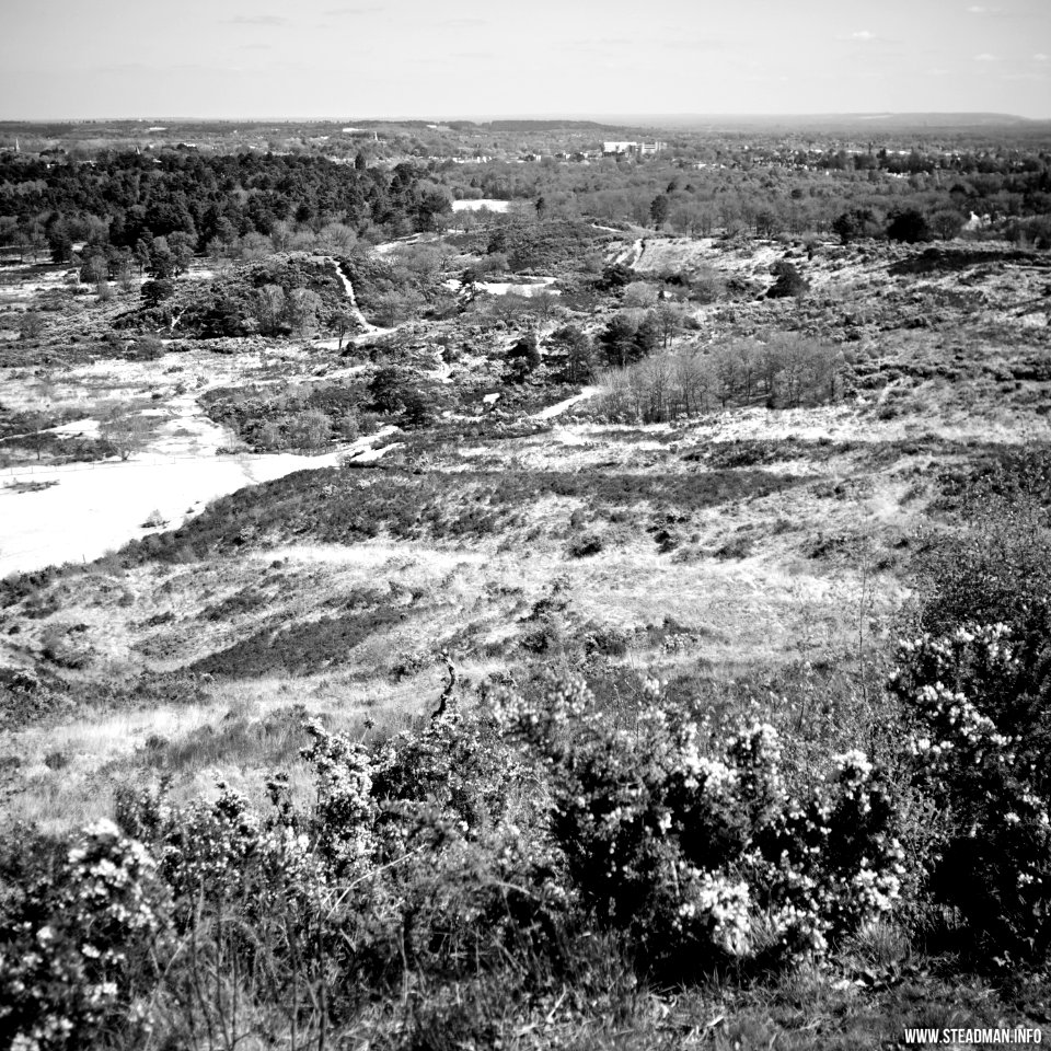 South Farnborough Landscape