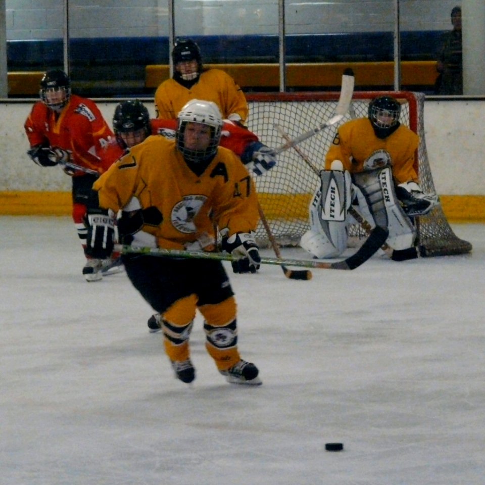 Firebees Vs Basingstoke Bison Ladies