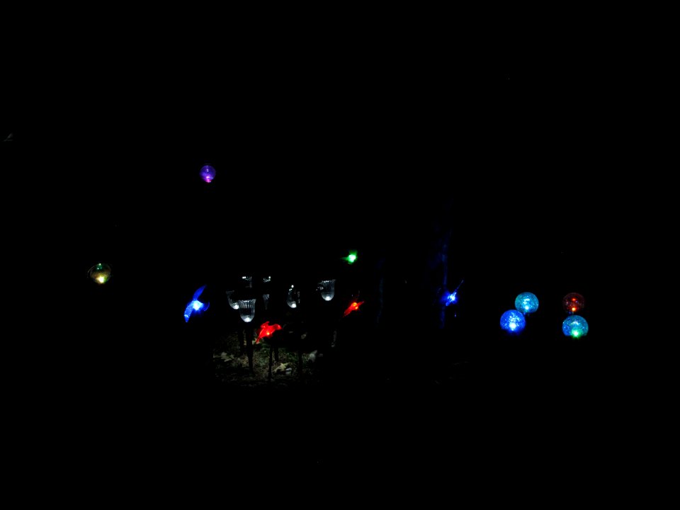 Solar Lights at Night