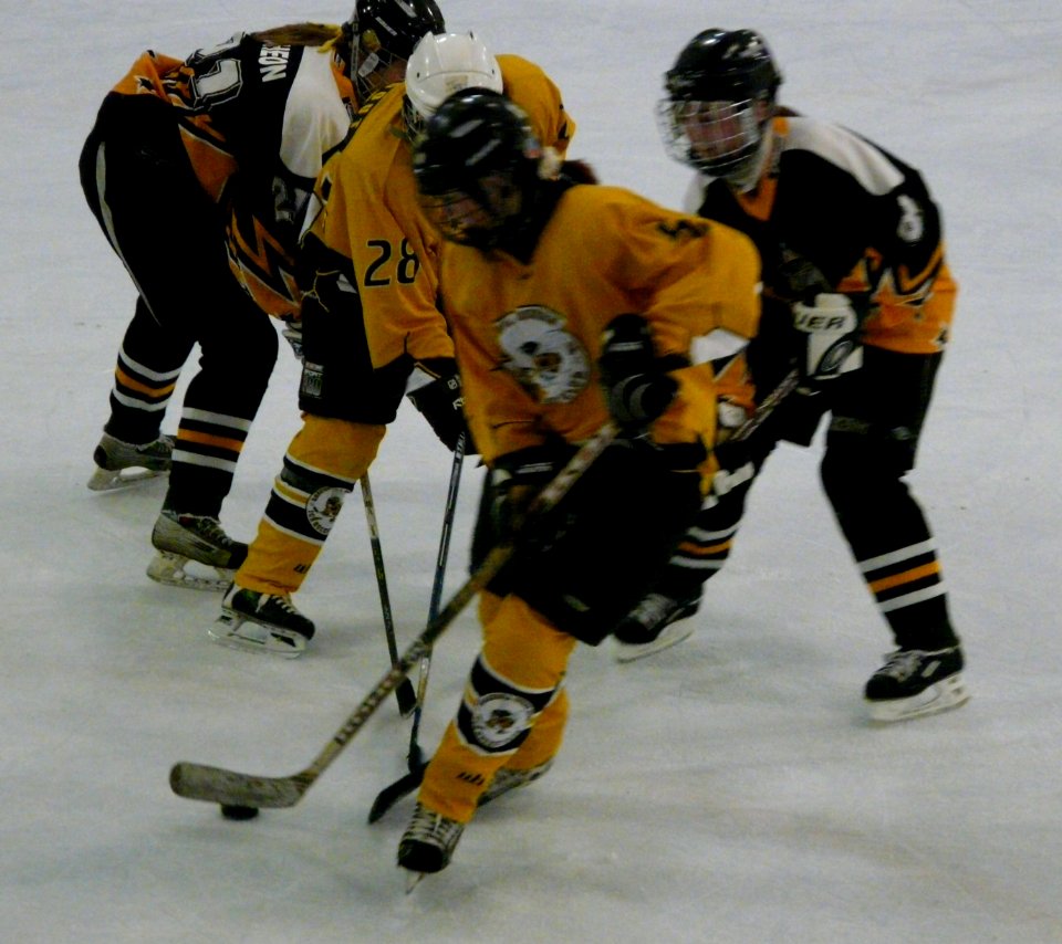Firebees Vs Chelmsford