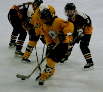 Firebees Vs Chelmsford