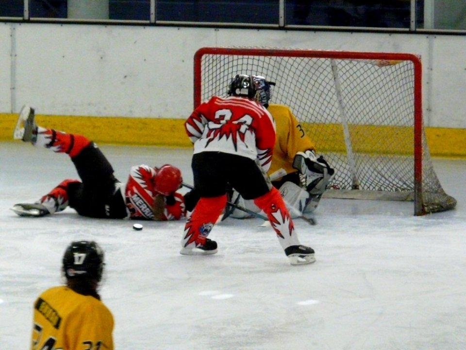 Bracknell Firebees Vs Swindon Topcats