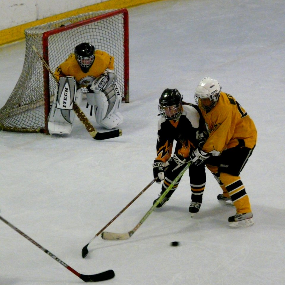 Firebees Vs Chelmsford