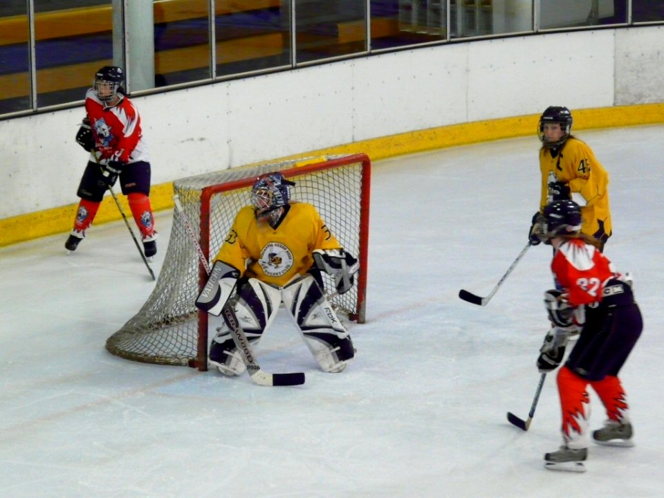 Bracknell Firebees Vs Swindon Topcats