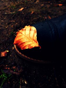 Shoe detail background