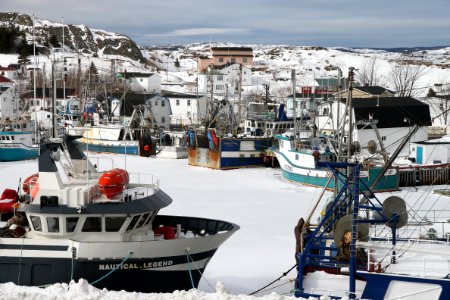 2011 - FEB 12 - 22 - NEWFOUNDLAND -077 Port de Grave (4)