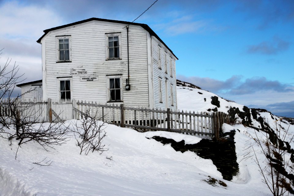 2011 - FEB 12 - 22 - NEWFOUNDLAND -078 north of Harbour Grace (2)