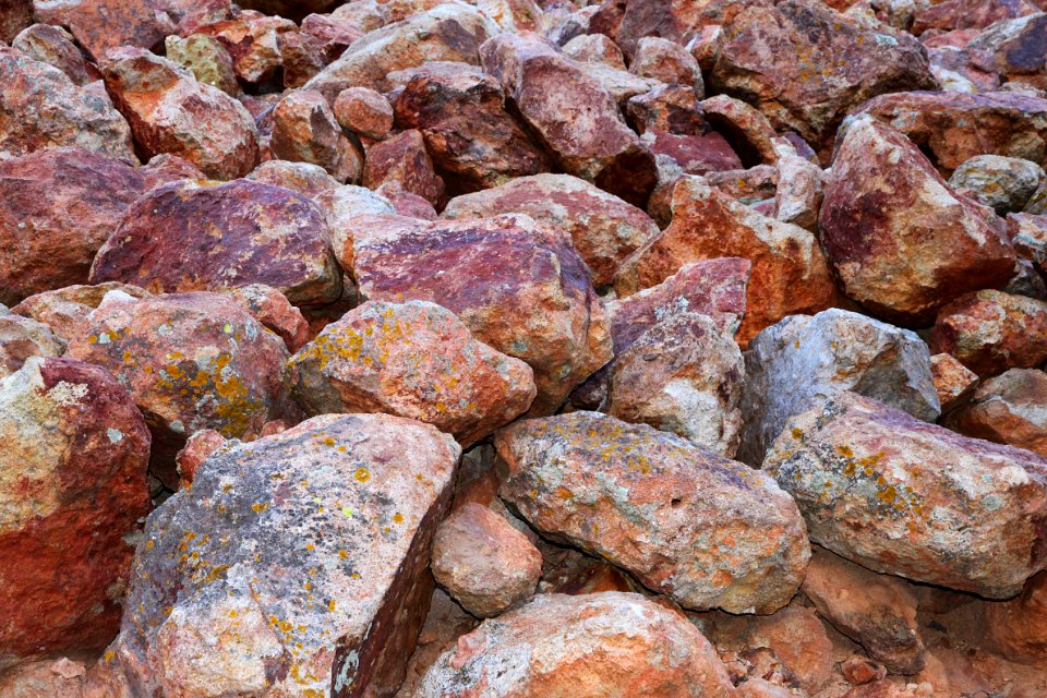 HUMBOLDT CANYON, Patagonia Hills, scc, az (10-30-10) - 02