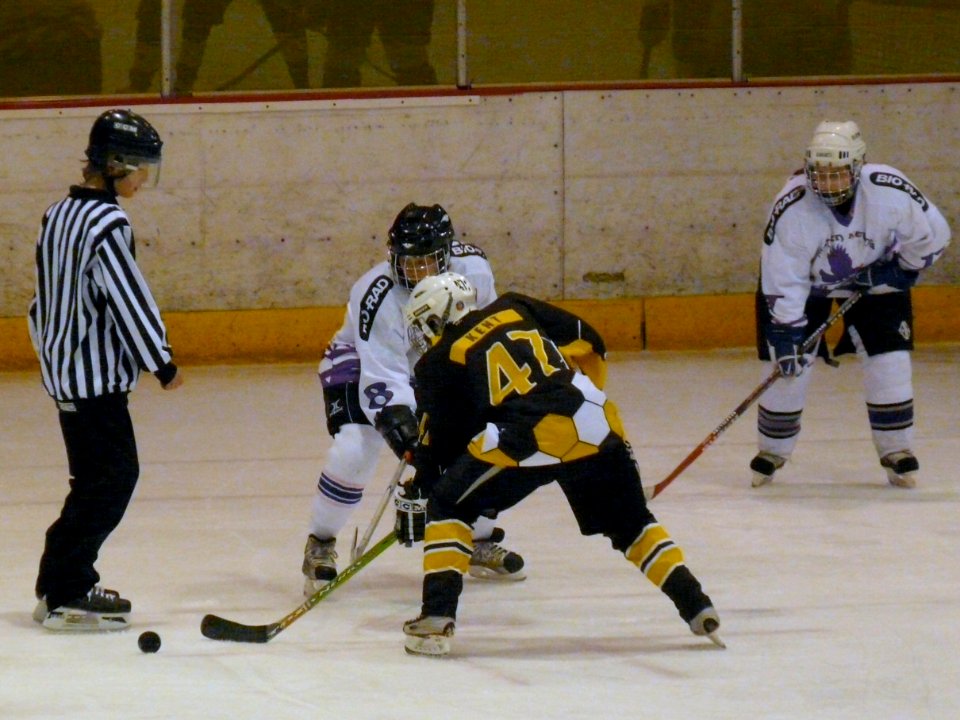 Bracknell Firebees Vs Milton Keynes Falcons