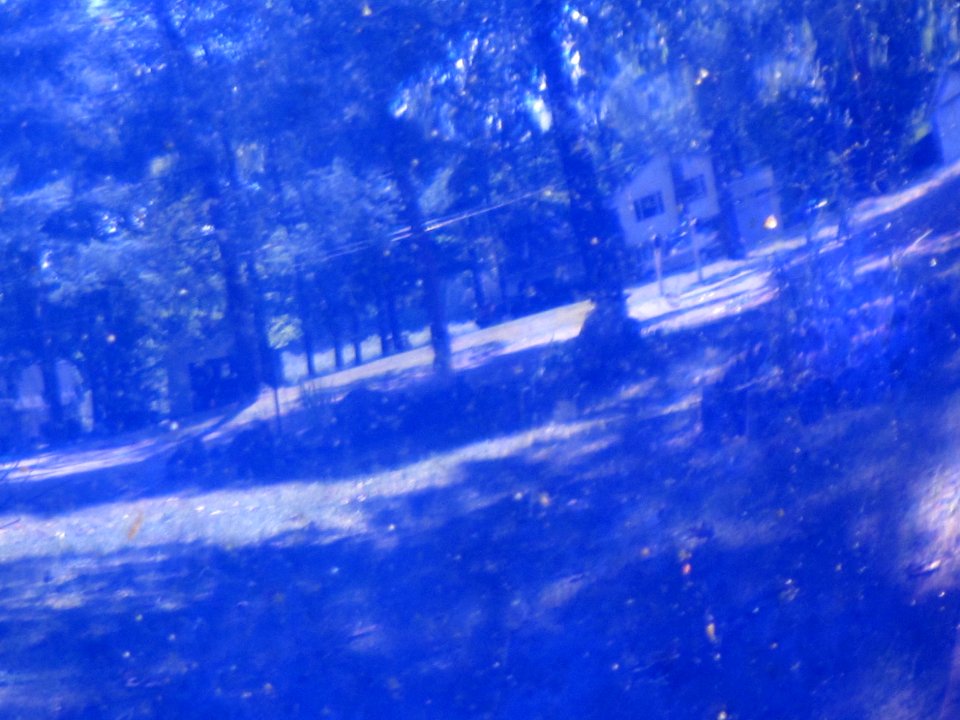 Gazing Ball Reflection 207