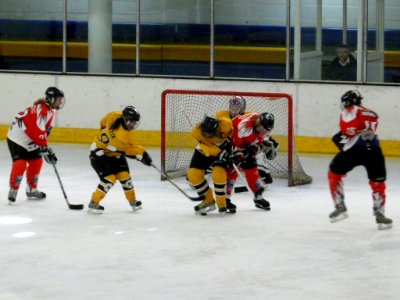 Bracknell Firebees Vs Swindon Topcats