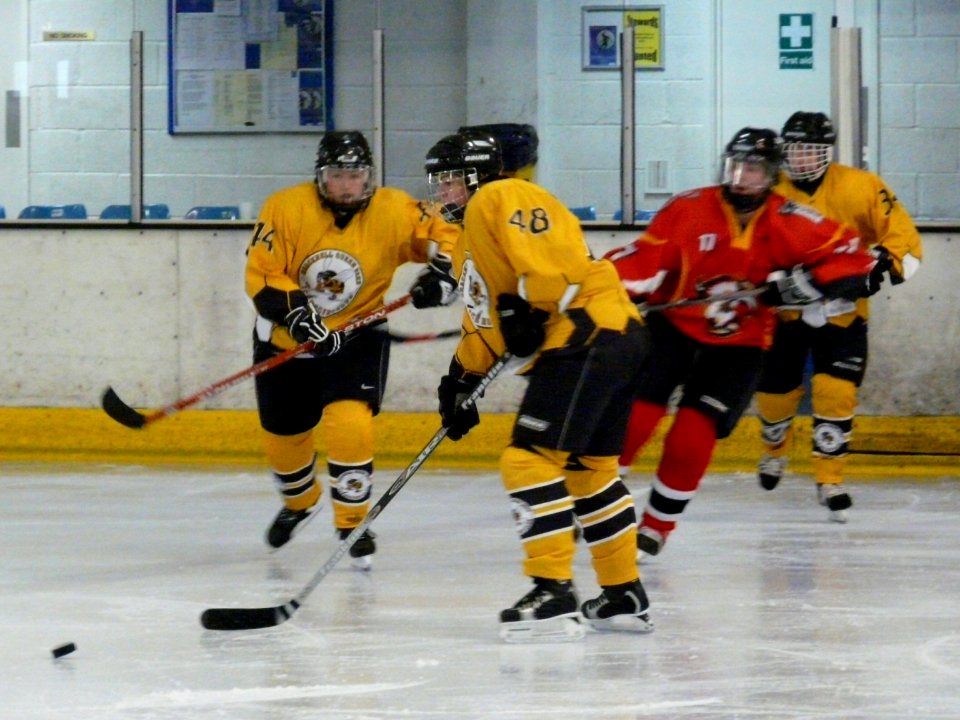 Firebees Vs Basingstoke Bison Ladies
