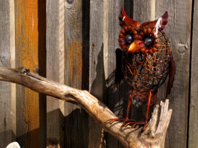 Metal Owl