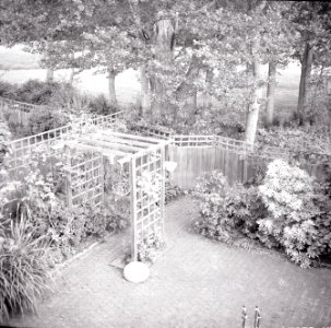 Kodak 66 Experiment