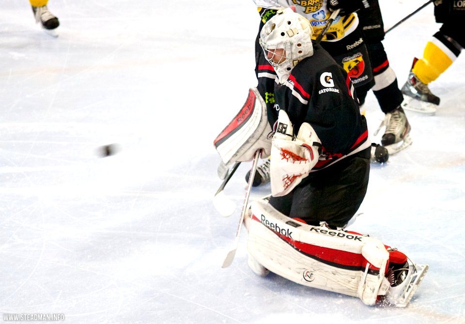 Bracknell Bees Vs Basingstoke Bison