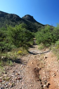 MONTOSA CANYON, scc, az -03