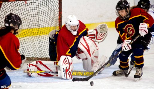 Guildford Lightning At Sheffield Shadows