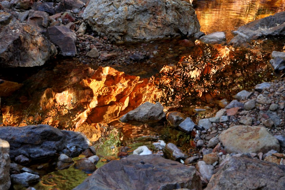 HUMBOLDT CANYON, Patagonia Hills, scc, az (10-30-10) - 16-