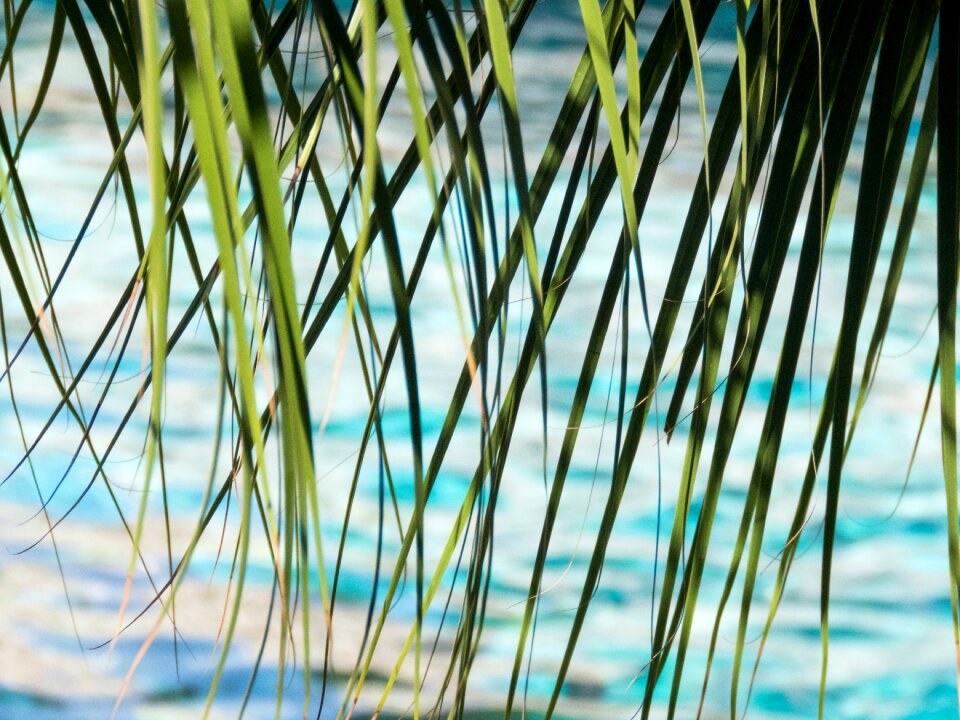 Sea water tropical