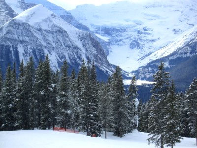 Banff '08 - Chateau Lake Louise photo