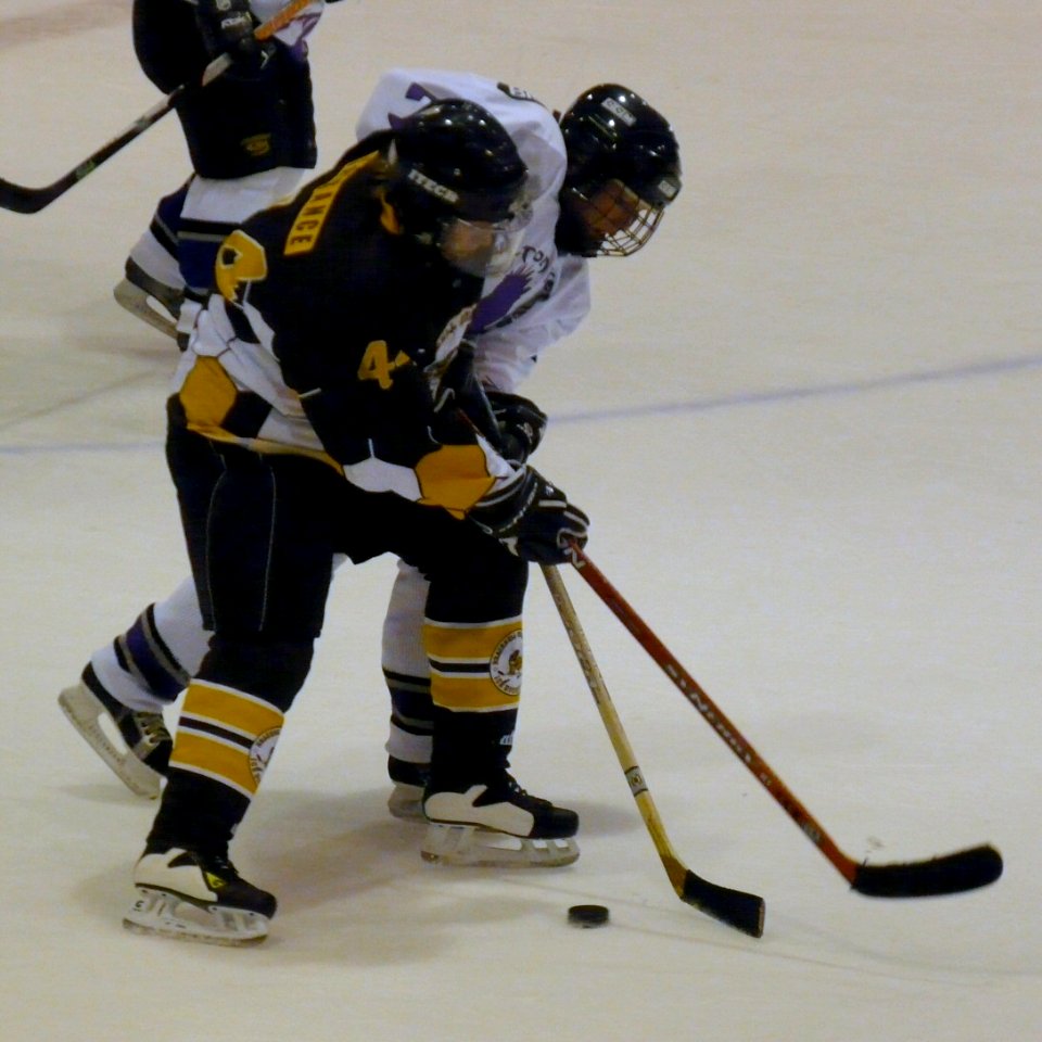 Bracknell Firebees Vs Milton Keynes Falcons