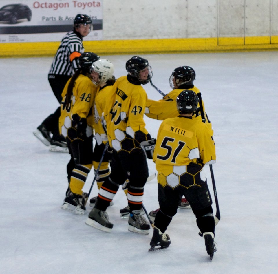 Bracknell Firebees Vs Basingstoke Bears