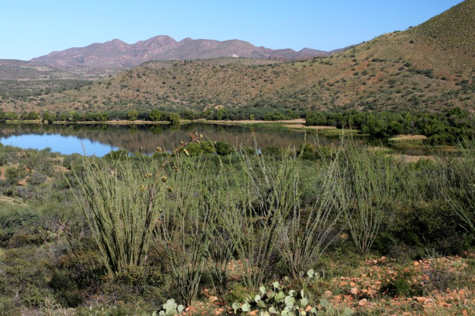 PATAGONIA LAKE STATE PARK, east end (9-30-10) -17