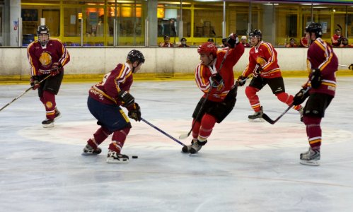 Redwings Vs Maple Leafs