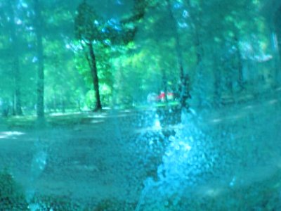 Gazing Ball Reflection 203