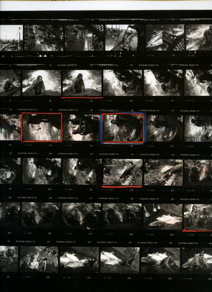Magnum Contact Print