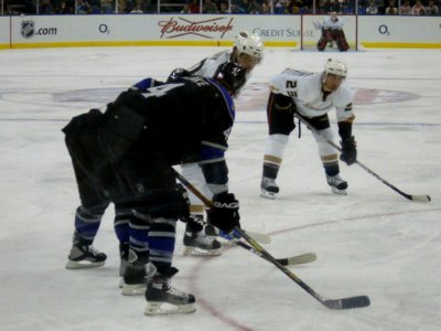 Ducks Vs Kings - 12