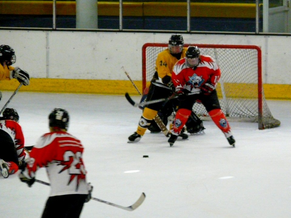 Bracknell Firebees Vs Swindon Topcats