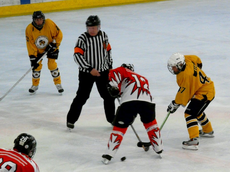 Bracknell Firebees Vs Swindon Topcats