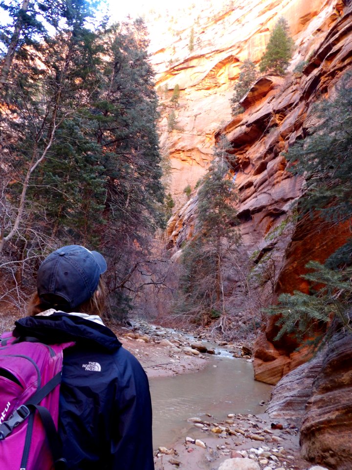Kolob Canyons