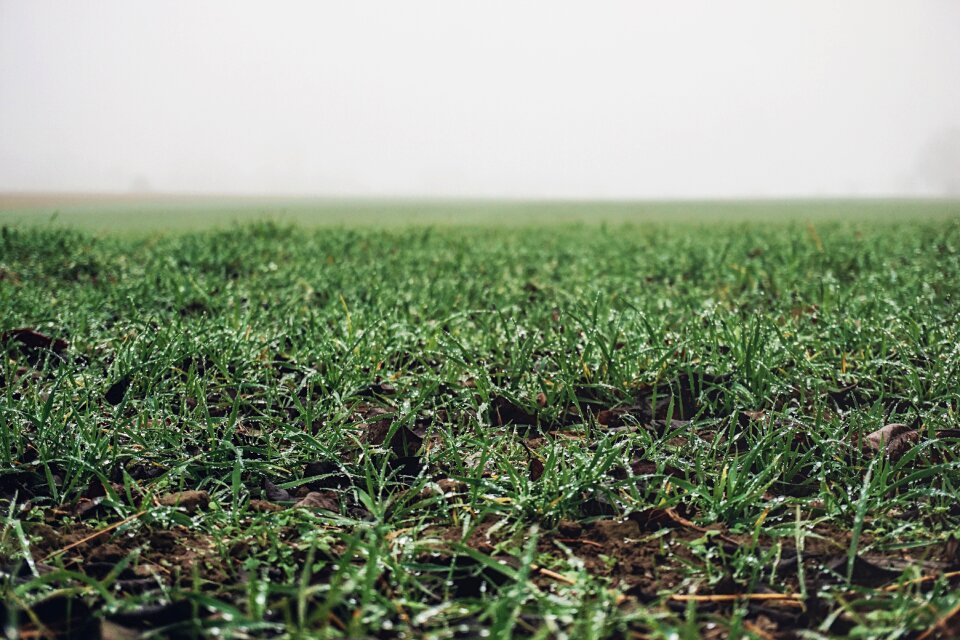 Foggy nature countryside photo