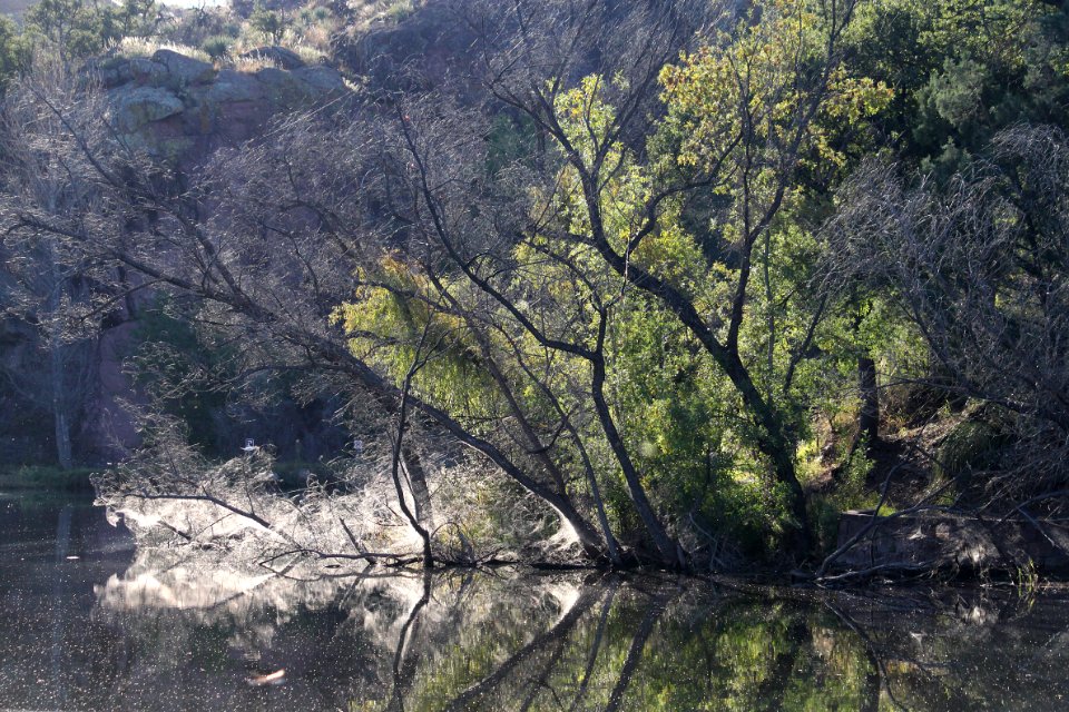 PENA BLANCA LAKE (10-28-10) west of nogales, scc, az -01