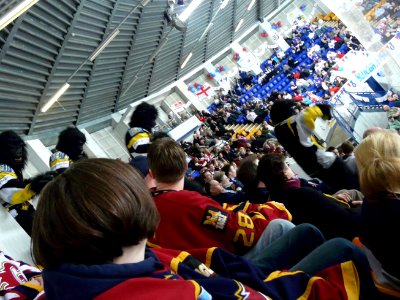 Gorillas in the Midst