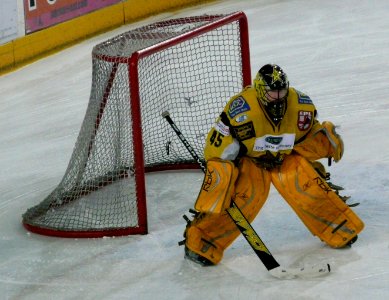 Bracknell Bees Vs Sheffield Scimitars