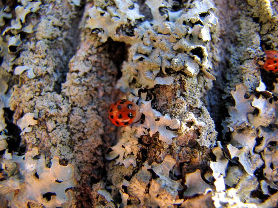 Fall 052
