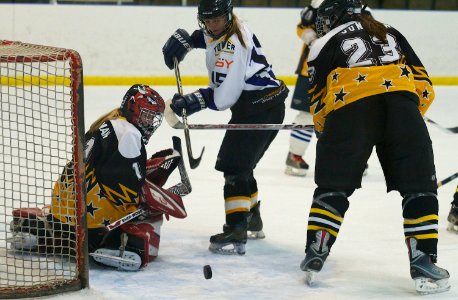 Milton Keynes Falcons Vs Chelmsford Cobras