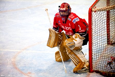 Bracknell Bees Vs Peterborough Phantoms