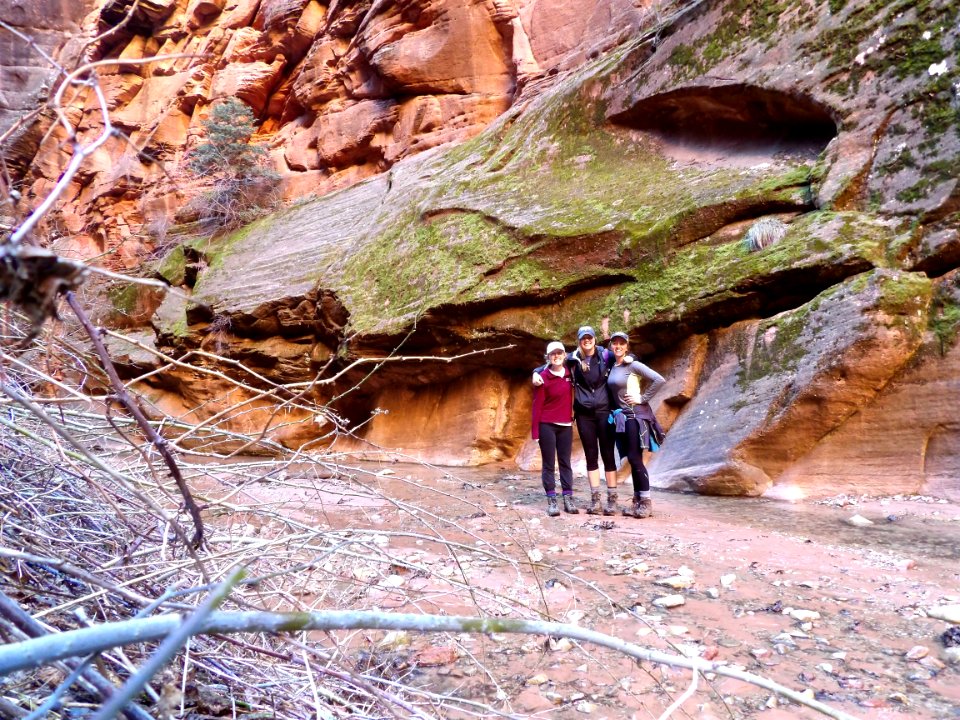 Bear Trap Creek